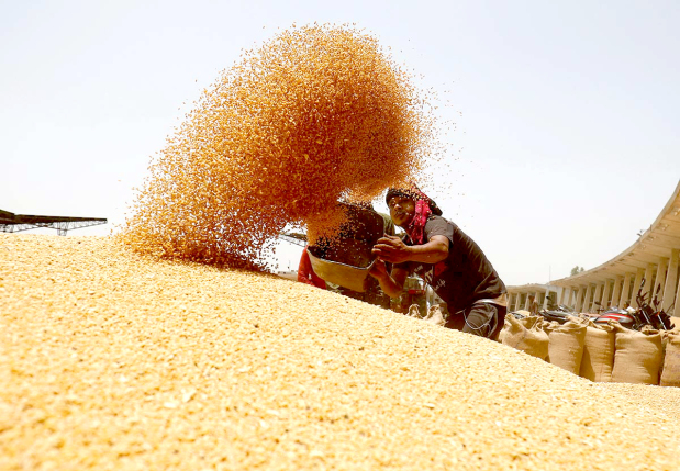 International Business World Food Prices Hit Record High