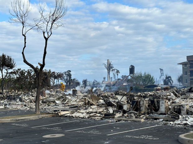 World News: Maui Wildfire Death Toll Hits 80 As Questions Raised Over ...