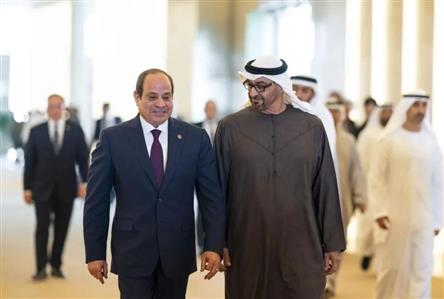 UAE President discusses cooperation with Egyptian...